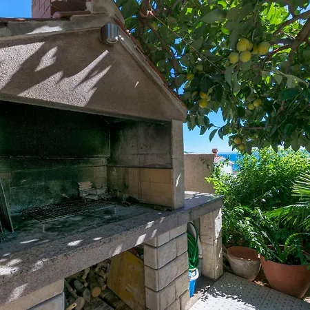 Slavomir 特罗吉尔